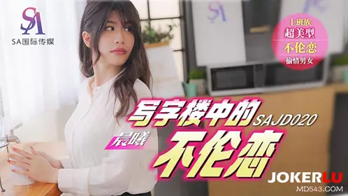 SAJD020 晨曦 写字楼中的不伦恋 SA国际传媒