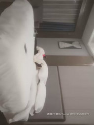 经典大神系列，小宝寻花27 小姐姐平台最后的演出 2800网约极品风骚御姐，白嫩肌肤配上黑丝魅力无限，花式啪啪高潮一波接一波